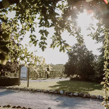 Agriturismo Antica Dimora Del Turco Sona